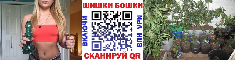 магазин Фролово mega как войти Бошки Шишки сатива